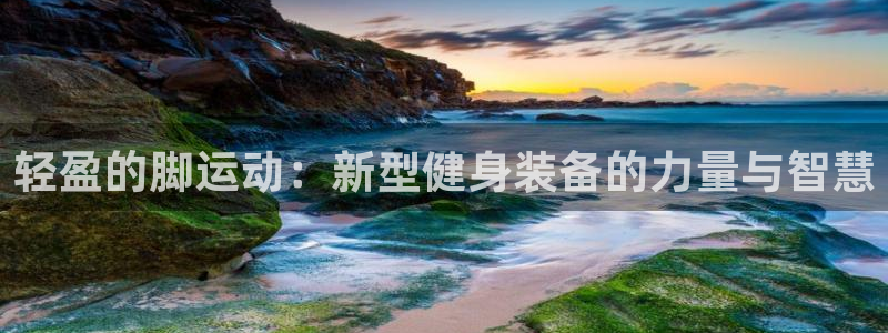 球王会体育官方正版app集团官网网址：轻盈的脚运动：
