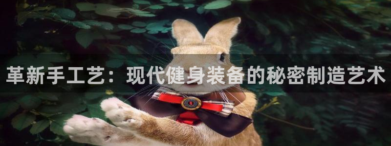 球王会体育官方正版app开户：革新手工艺：现代健身装