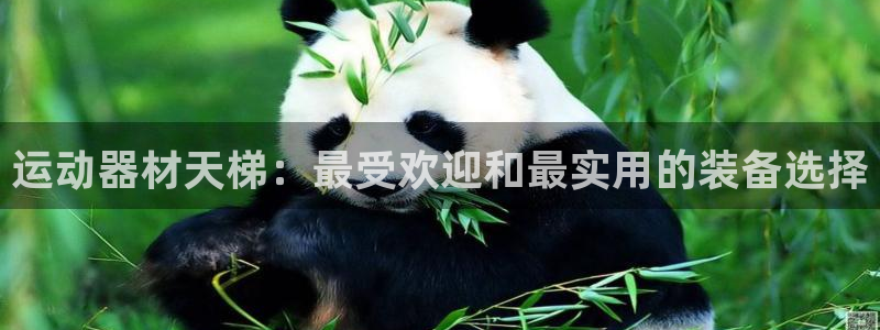 球王会体育官网下载平台注册流程视频：运动器材天梯：最