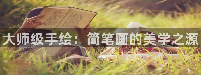 球王会体育官网下载平台注册流程视频：大师级手绘：简笔