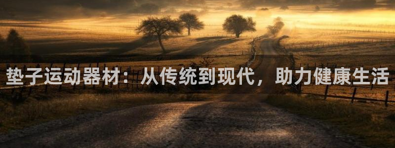 球王会体育官方正版app娱乐平台：垫子运动器材：从传统到现代