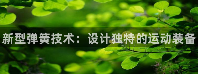 球王会体育官网下载招商电话号码查询：新型弹簧技术：设