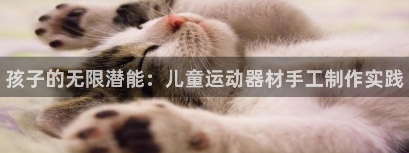 球王会体育官方正版app娱乐是那个系列的台子：孩子的无限潜能