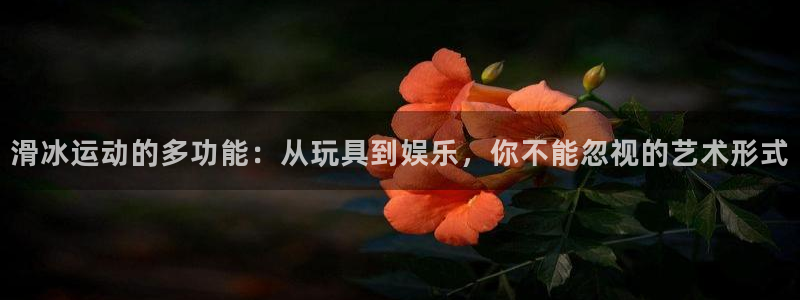 球王会体育官方正版app娱乐首页官网下载：滑冰运动的