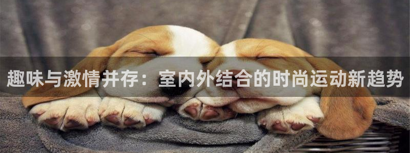 球王会体育官方正版app五金厂：趣味与激情并存：室内