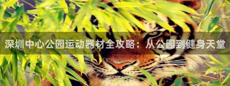 球王会体育官方正版app娱乐：深圳中心公园运动器材全