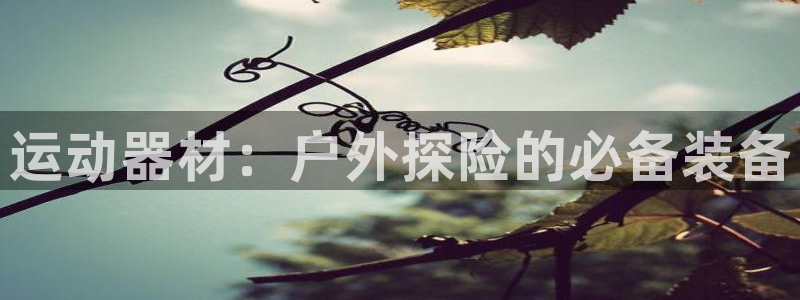 球王会体育官网下载招商电话是多少号码：运动器材：户外