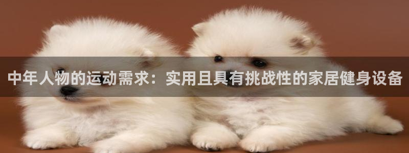 球王会体育官网下载官方客服电话：中年人物的运动需求：实用且具