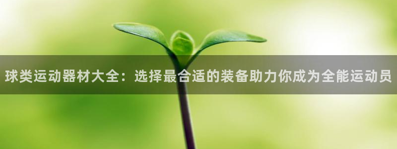 球王会体育官方正版app开户：球类运动器材大全：选择最合适的